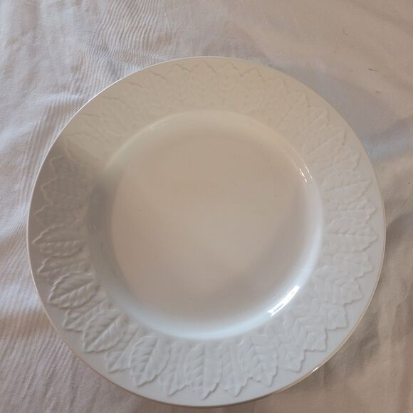 Pontesa Ironstine Spain 10" White Plate With Embossed Leaf Trim On Edge - Picture 1 of 6
